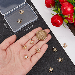 10Pcs Brass Micro Pave Cubic Zirconia Charms&nbsp;KK-BBC0015-42