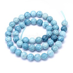 Natural Gemstone Beads Strands&nbsp;G-L367-01-8mm