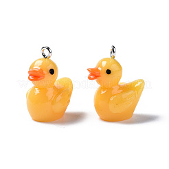 Opaque Resin Pendants&nbsp;RESI-S356-065
