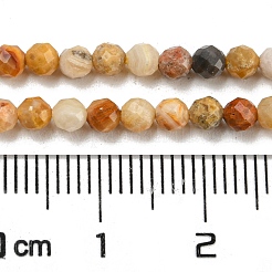 Natural Crazy Lace Agate Beads Strands&nbsp;X-G-A129-3mm-17