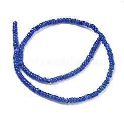 Dyed Natural Freshwater Shell Beads Strands&nbsp;X1-BSHE-G039-07J