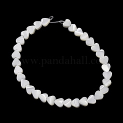 Natural Trochid Shell/Trochus Shell Beads Strands&nbsp;SH-CBA2978-19A