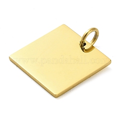 304 Stainless Steel Pendants&nbsp;STAS-L022-113G
