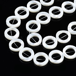 Natural Trochid Shell/Trochus Shell Beads Frames Strands&nbsp;SSHEL-S266-027