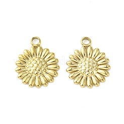 304 Stainless Steel Charms&nbsp;STAS-L269-062G