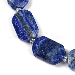 Natural Lapis Lazuli Beads Strands&nbsp;G-B125-P11-01