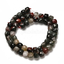 Natural African Bloodstone Beads Strands&nbsp;G-H078-C26-01