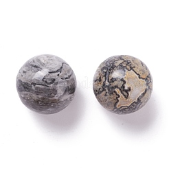 Natural Map Stone Beads&nbsp;G-D456-01