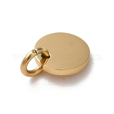 304 Stainless Steel Charms&nbsp;STAS-L022-313G-1