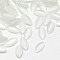 Cat Eye Cabochons, Horse Eye, White, 10x5x1.5~2mm
