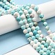 Natural Magnesite Beads Strands&nbsp;G-L555-02C-02-9