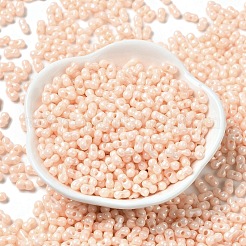 不透明色光沢ガラスシードビーズ  ピーナッツ  桃パフ  6x3.5x3mm  穴：1mm  約7258個/ポンド&nbsp;SEED-B001-01A-04