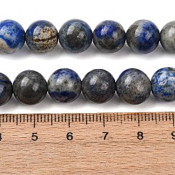 Natural Lapis Lazuli Round Bead Strands&nbsp;G-E262-01-10mm