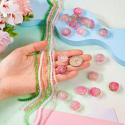 DIY Rose Flower Glass & Acrylic Beads Jewelry Making Finding Kit&nbsp;DIY-TA0010-10
