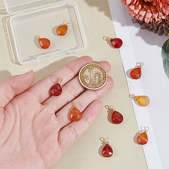 24Pcs Dyed Natural Red Agate & Natural Red Aventurine & Natural Topaz Jade Pendants&nbsp;PALLOY-GA00017