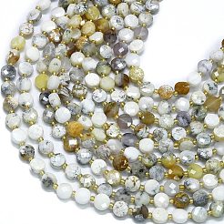 Natural White African Opal Beads Strands&nbsp;G-K389-B23-01