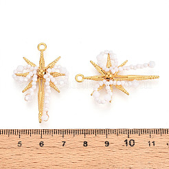 304 Stainless Steel Pendants&nbsp;STAS-N110-34C-G