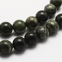 Natural Green Wood Lace Stone Wooden Jasper Beads Strands&nbsp;G-J358-04-8mm