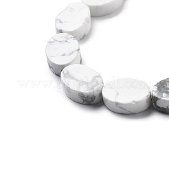 Natural Howlite Beads Strands&nbsp;G-P559-B05-01
