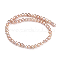 Natural Cultured Freshwater Pearl Beads Strands&nbsp;PEAR-I007-07J-07B
