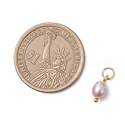 Natural Cultured Freshwater Pearl Rice Charms&nbsp;PALLOY-JF04841