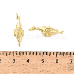 真鍮チャーム  魚の形  鉛フリー＆カドミウムフリー  長持ちメッキ  ラックめっき  丸カン付き  ゴールドカラー  22.5x9x7.5mm  穴：3mm&nbsp;KK-C144-01G