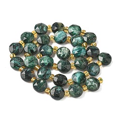 Natural Fuchsite Beads Strands&nbsp;G-G271-C03-10mm