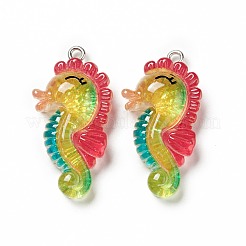 Ocean Theme Transparent Resin Pendants&nbsp;RESI-E024-05P-02