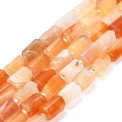 天然レッドボツワナアゲートビーズ連売り  シードビーズで  ファセット列  9~11x6~7.5x6~7.5mm  穴：1.2mm  約30個/連  15.16~15.55インチ（38.5~39.5cm）&nbsp;G-G068-A18-01