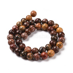 天然レッドヒョウスキンジャスパービーズ連売り  ラウンド  8mm  穴：1mm  約45~48個/連  15インチ&nbsp;GSR066