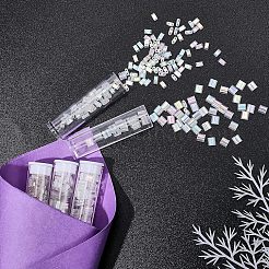 528Pcs 2 Style 2-Hole Transparent Glass Seed Beads&nbsp;SEED-NB0001-52