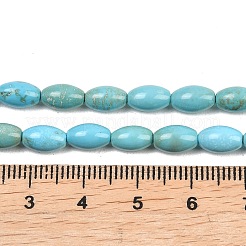 Natural Magnesite Beads Strands&nbsp;G-Z143-B01-01
