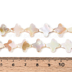 電気メッキ天然淡水シェルビーズ連売り  スター  ABカラー  貝殻色  11.5~13x11.5~13x2~3.5mm  穴：0.6mm  約32個/連  15.35~15.55インチ（39~39.5cm）&nbsp;SHEL-N038-28