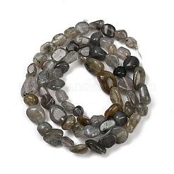 Natural Labradorite Beads Strands&nbsp;G-Q060-D02
