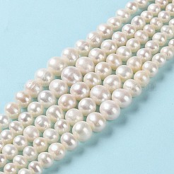 天然養殖淡水パールビーズ連売り  グラデーションラウンド  パパイヤホイップ  4~11x3~10mm  穴：0.5mm  約77個/連  15.87''（40.3センチメートル）&nbsp;PEAR-E018-67