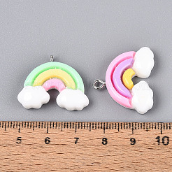 不透明樹脂ペンダント  レインボー  プラチナメッキ鉄ループ付き  ミックスカラー  20~21.5x25~27.5x5~7mm  穴：2mm&nbsp;RESI-N050-11P