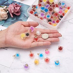 80Pcs 20 Style Plastic/Resin Frosted Pendants&nbsp;FIND-MP0001-01