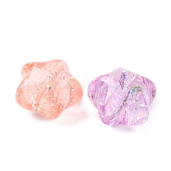 透明樹脂ビーズ  スター  グリッターパウダー付き  ミックスカラー  19~20x22x15~16mm  穴：2mm&nbsp;RESI-B039-08
