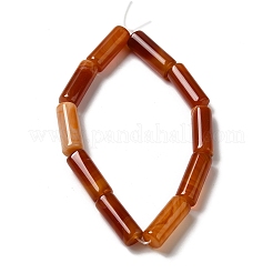 天然石瑪瑙ビーズ連売り  染め＆加熱  コラム  サンゴ  8~8.5x14.5~16mm  穴：1.6mm  約12個/連  7.20~7.48''（18.3~19センチメートル）&nbsp;G-H295-E01-05