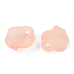 Transparent Acrylic Beads&nbsp;MACR-S373-106-D06-A