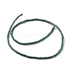 合成マラカイトビーズ連売り  コラム  4x2.5mm  穴：1mm  約87個/連  14.88~15.12インチ（37.8~38.4cm）&nbsp;G-M389-17