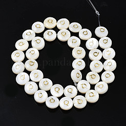 Natural Freshwater Shell Beads&nbsp;SHEL-S276-168Q