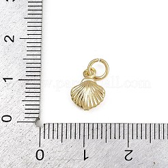 真鍮製チャーム  長持ちメッキ  ラックめっき  カドミウムフリー＆鉛フリー  丸カン付き  18KGP本金メッキ  シェル形状  10.5x8x2.5mm&nbsp;KK-D409-40G-A