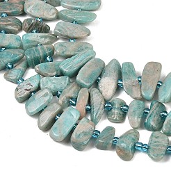 Natural Amazonite Beads Strands&nbsp;X-G-P619-A04-01