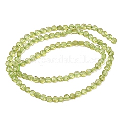 Natural Peridot Beads Strands&nbsp;GG-CBA9631-D03-01