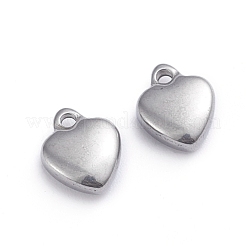 Non-Tarnish 304 Stainless Steel Charms&nbsp;STAS-G236-01P-B