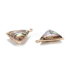 Natural Paua Shell Pendants&nbsp;KK-K252-07G-02