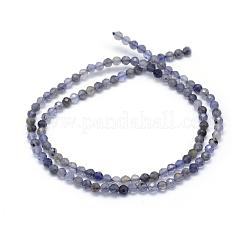 Natural Cordierite/Iolite/Dichroite Beads Strands&nbsp;G-E411-39-3mm