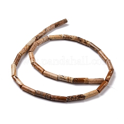 Natural Picture Jasper Beads Strands&nbsp;G-D464-13