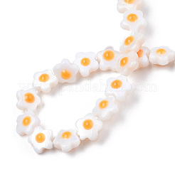 Natural White Shell Beads Strands&nbsp;SHEL-N003-30